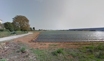 Tess Auto, Garage Automobile à Mauguio