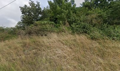 Martinoli Ets, Garage Automobile à Cazalrenoux