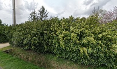 Garage Pérou Eric, Garage Automobile à Louans