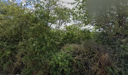 HDI - Henry Desjonquères Industries (site De Châteaudun), Garage Automobile à Châteaudun