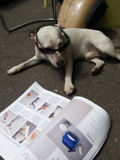 New Team GARAGE, Garage Automobile à Servon