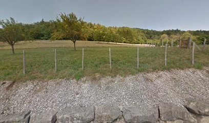 TOP GARAGE - GARAGE STEPHANE PERRIN, Garage Automobile à Saint-Étienne-de-Crossey