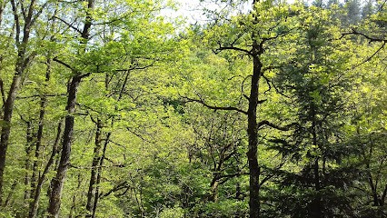 Passion Auto - Motrio, Garage Automobile à Saint-Maurice-de-Lignon