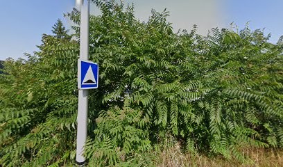 Rodriguo Auto, Garage Automobile à Feyzin
