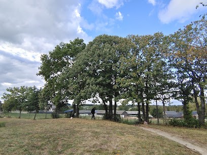 SAS Phenix, Garage Automobile à Moulins