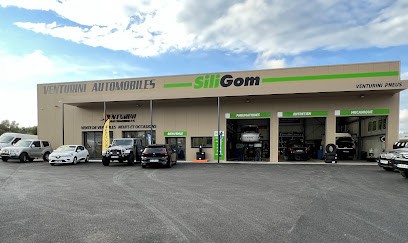 SILIGOM - VENTURINI PNEUS MONTICELLO, Garage Automobile à Monticello