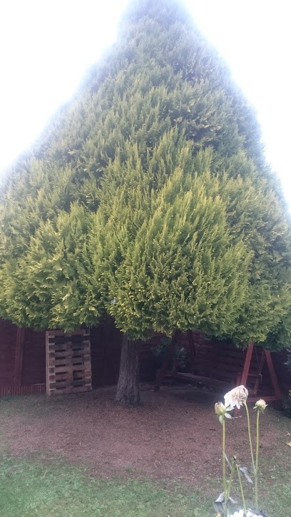 Gamard Christophe, Garage Automobile à Nogent-l'Artaud