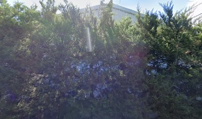 Safa Sud, Garage Automobile à Manosque