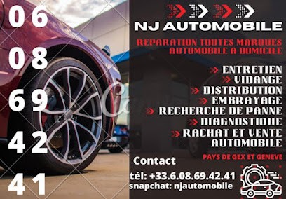 NJ Automobile, Garage Automobile à Ferney-Voltaire