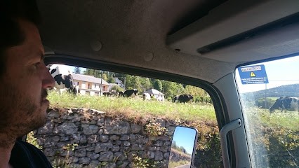 Garage VIDAL, Garage Automobile au Malzieu-Ville