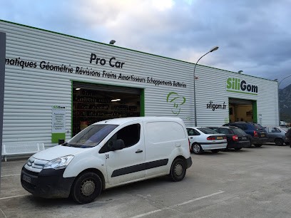 SILIGOM - PRO CAR, Garage Automobile à Viggianello
