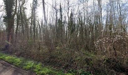 Saumac, Garage Automobile à Courtomer