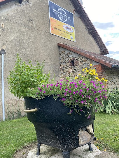 MVH Bailly Sebastien Garage / Guêpes et frelons, Garage Automobile à Colombier