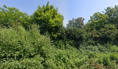 International Stratège, Garage Automobile à Préaux