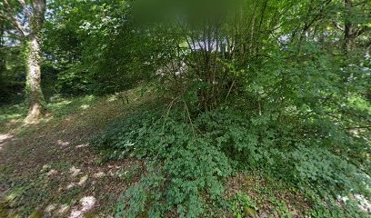 Delile, Garage Automobile à Fresse