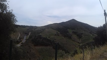 Central Garage Collision, Garage Automobile à Collioure