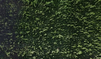 MMHE MARINE, Garage Automobile à Morancé