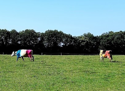 Qualipneus Services, Garage Automobile à Pleuven