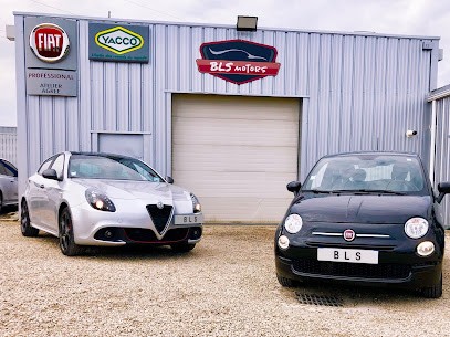 BLS MOTORS - Vulaines-sur-seine - Samoreau, Garage Automobile à Vulaines-sur-Seine