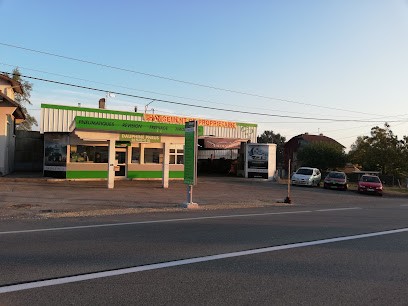 SILIGOM - Dauphiné Pneus, Garage Automobile aux Abrets en Dauphiné