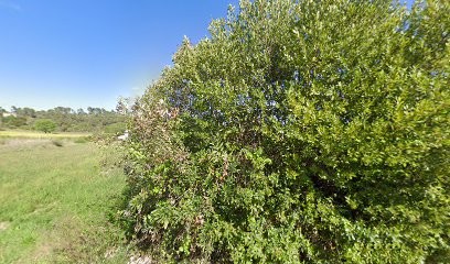 GLASS PRO SERVICES - PARE BRISE SERVICES, Garage Automobile au Val