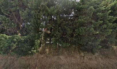 David Auto Sport, Garage Automobile à Canohès