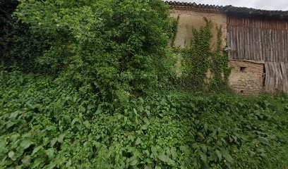 Senest'car, Garage Automobile à Sénestis