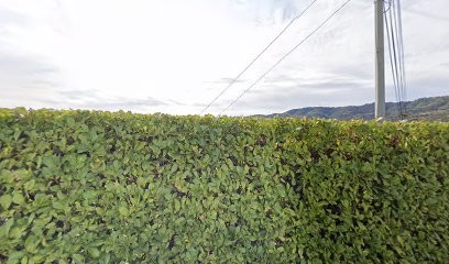 Arcas Tech, Garage Automobile à Pégomas