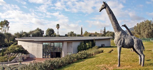 Car Museum – Conciergerie, Garage Automobile à Vence