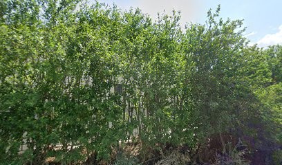 LE GARAGE DE LA GARE, Garage Automobile à Eygalières