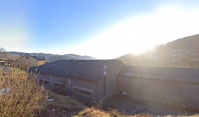 Fougerard Louis, Garage Automobile à Cours