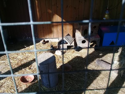 Garage Brun, Garage Automobile à Saint-Quentin