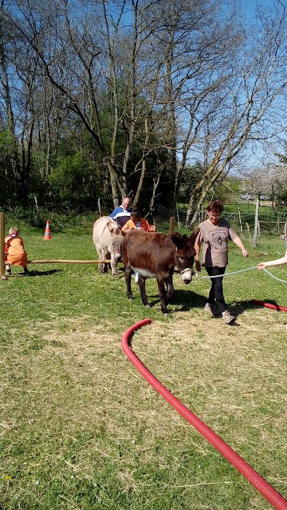 Garage Citroën, Garage Automobile à Duttlenheim