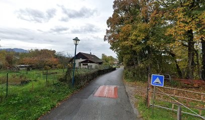 Léman Mécanique, Garage Automobile à Champanges