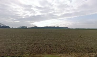 TOP GARAGE - RIBEIRO AUTOMOBILES, Garage Automobile à Hornoy-le-Bourg