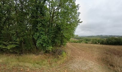 Matic'Pneus, Garage Automobile à Baladou