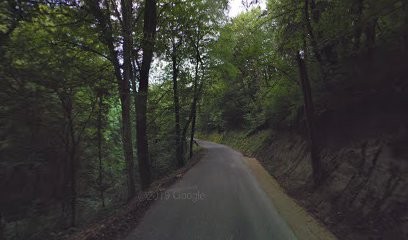 Garage A La Belle époque, Garage Automobile à Seyssel