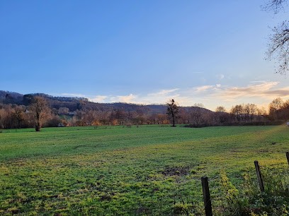 GARAGE BOUTAL, Garage Automobile à Vic-sur-Cère