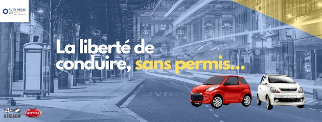 AUTO PIECES VSP - Voiture sans permis | Ligier / Microcar, Garage Automobile à Hénin-Beaumont
