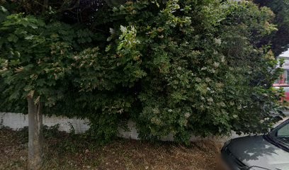 SAS SLBA Audi, Garage Automobile à Cambrai