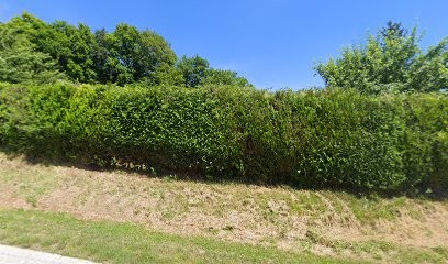 Garage Symczyk Et Fils Sarl - Citroën, Garage Automobile à Châtillon-sur-Marne
