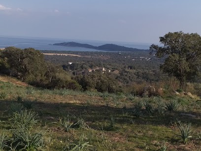 Garage grottoli, Garage Automobile à Zonza