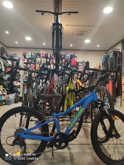 Assistance Mécanique Andres A.M.A, Garage Automobile à Fellering