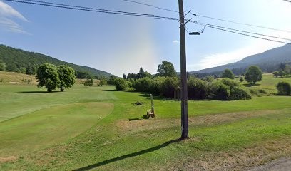 Lançon Serge, Garage Automobile à Mijoux