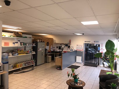 Chris Auto et Associes Auto Primo, Garage Automobile à Ussac