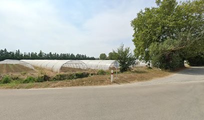 Negoce France International, Garage Automobile au Thor