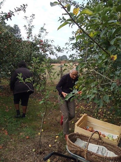 Duriez Raymond, Garage Automobile à Durtal