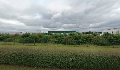 Brake France Service, Garage Automobile à Serres-Castet