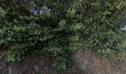 Marcelli mécanique, Garage Automobile à Petreto-Bicchisano