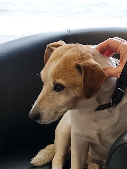 SILIGOM - Peuvion Pneus, Garage Automobile à Boulogne-sur-Mer